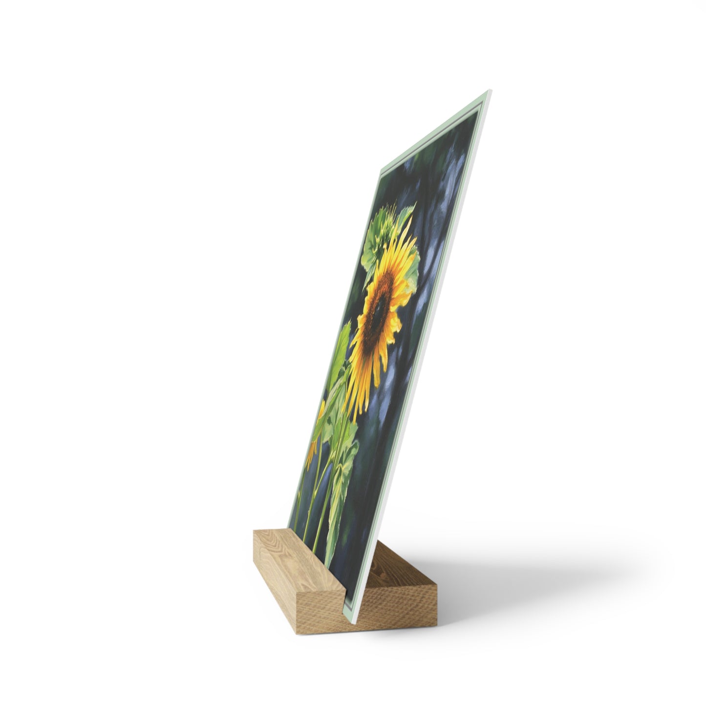 Nature Sunflower Photo Gallery Board with Wooden Stand — Mini Nature Desk Art (Additional Sizes)