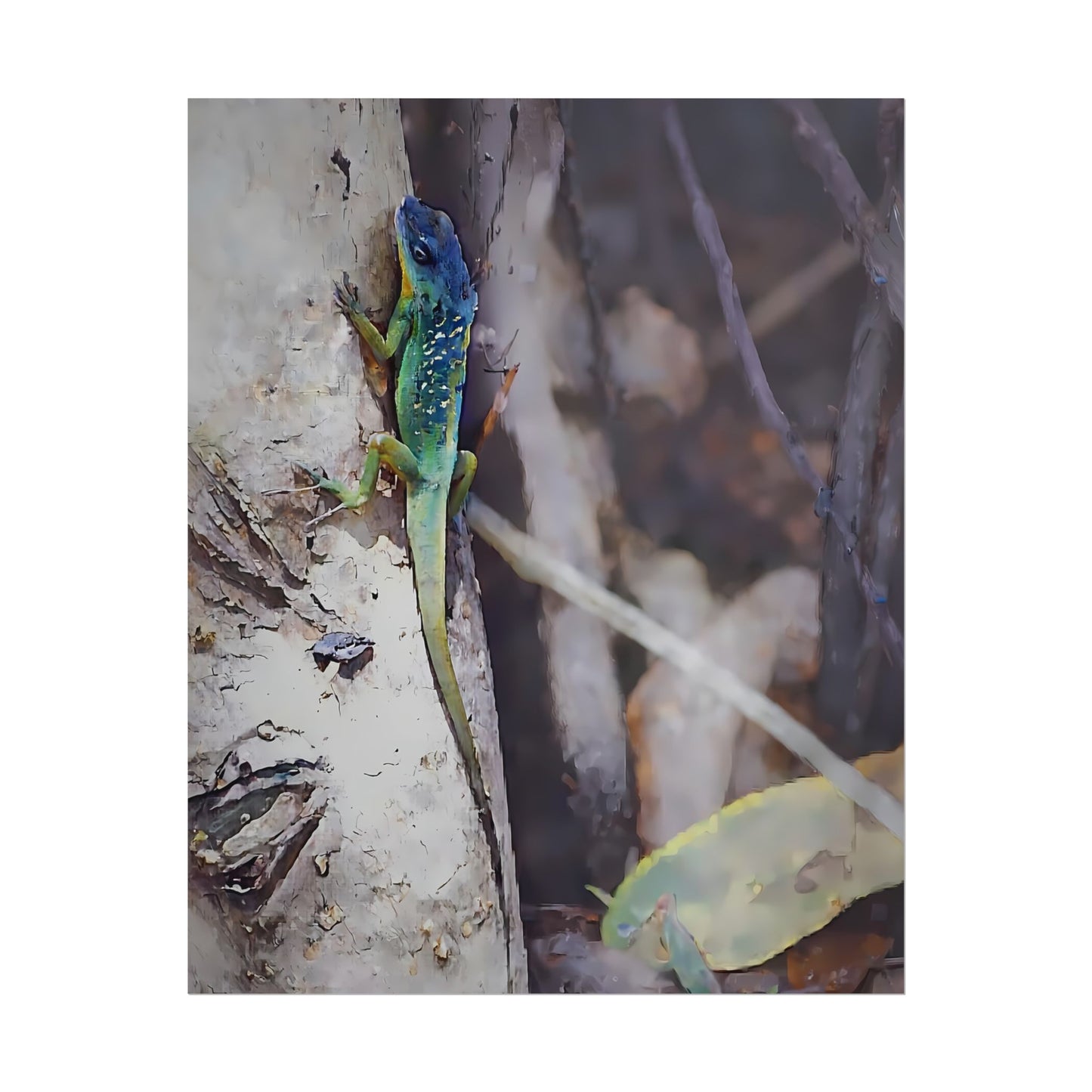 Nature-Inspired Colorful Tropical Lizard Wall Art Print