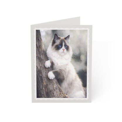 Elegant Ragdoll Cat Greeting Card —  Blank Note for Cat Lovers (1/10/30 pcs)