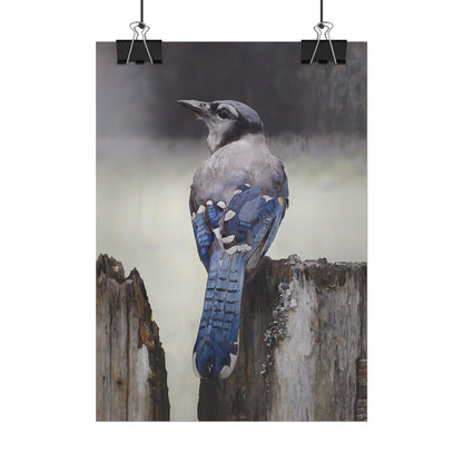 Nature-Inspired Bluejay Bird Wall Art Print