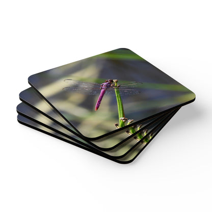 Nature-Inspired Dragonfly Cork Drink Coaster 4-Piece Set