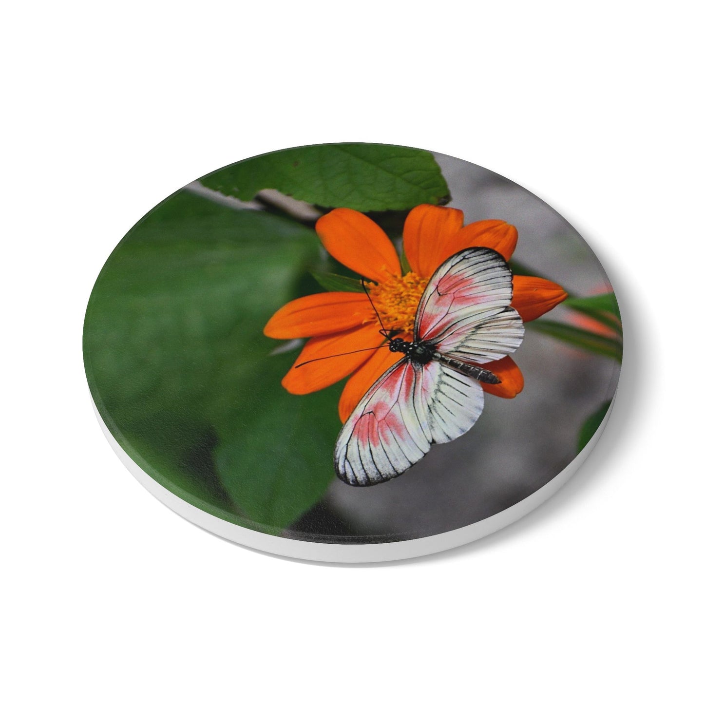 Nature-Inspired Botanical Butterfly Collectible Ceramic Coaster, 1 Piece