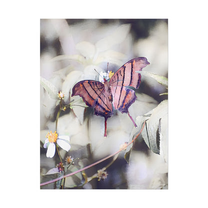 Nature-Inspired Orange Butterfly Wall Art Print