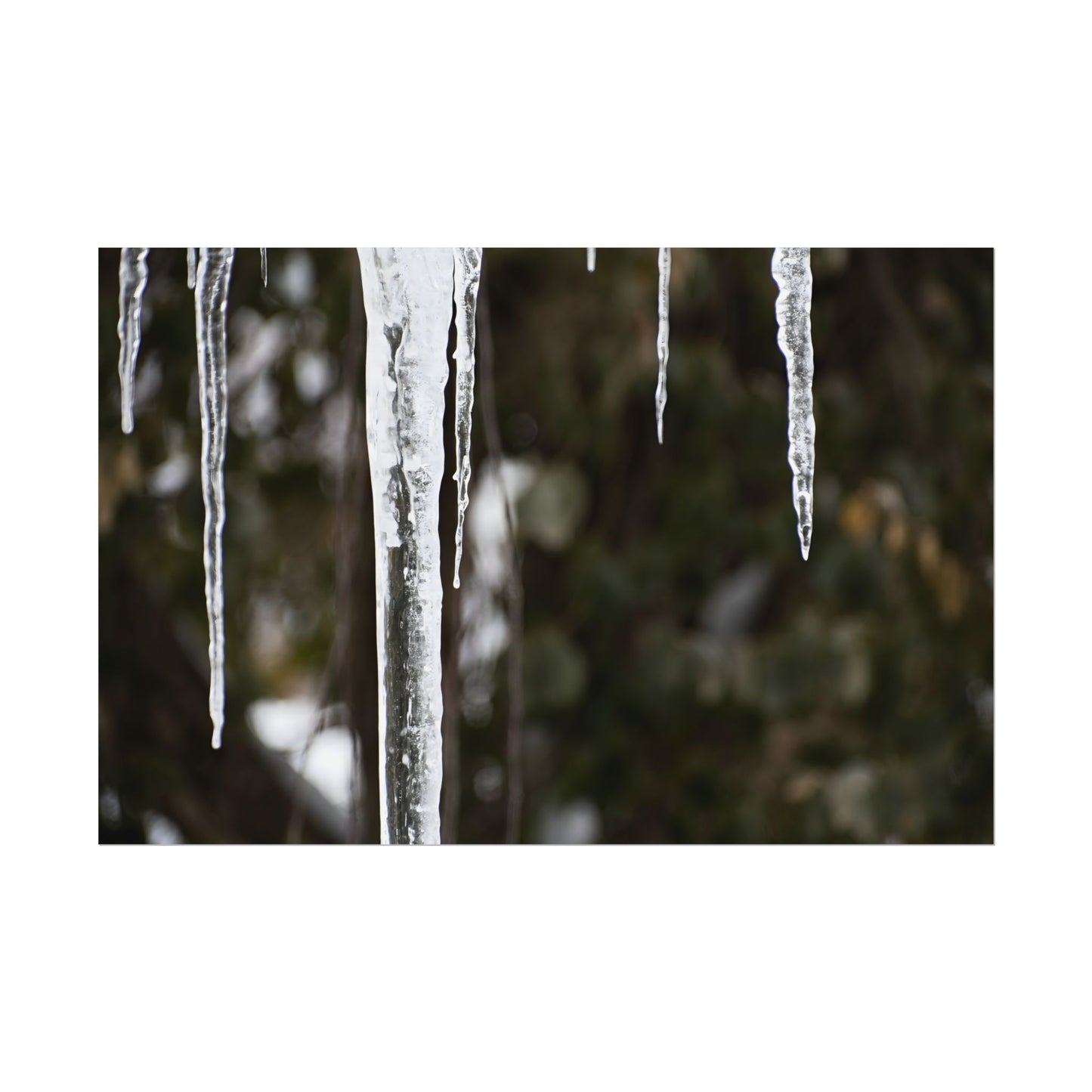 Winter Icicles Frozen Nature Wall Art Print