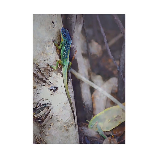 Nature-Inspired Colorful Tropical Lizard Wall Art Print