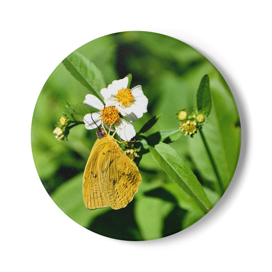 Nature-Inspired Yellow Butterfly & White Flowers Collectible Ceramic Coaster, 1 piece