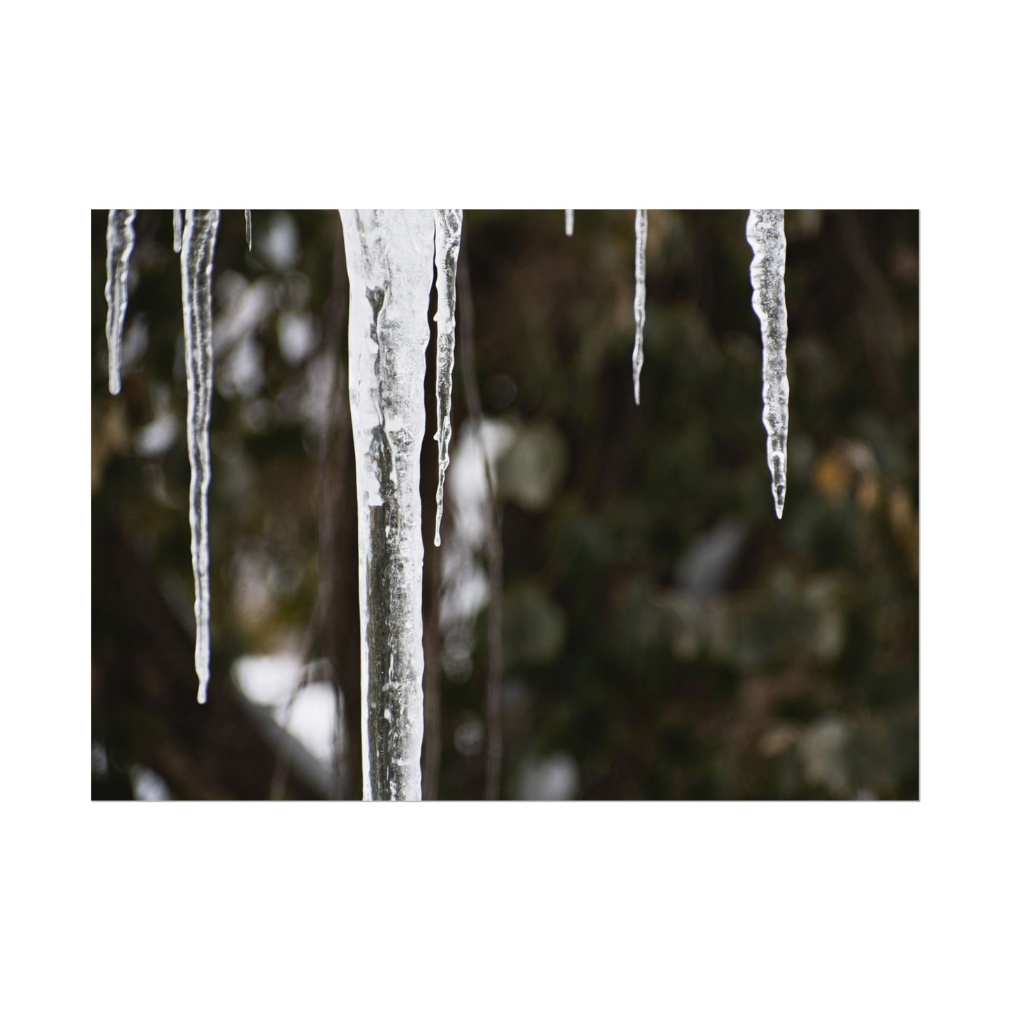 Winter Icicles Frozen Nature Wall Art Print