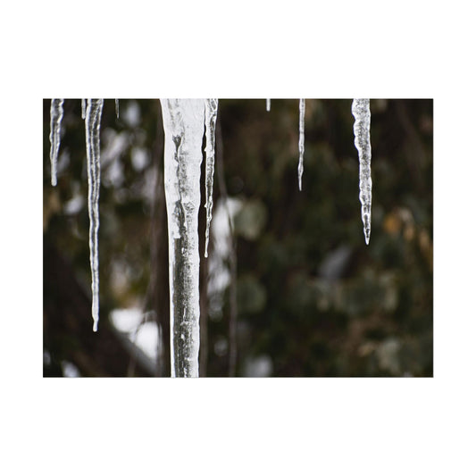 Winter Icicles Frozen Nature Wall Art Print
