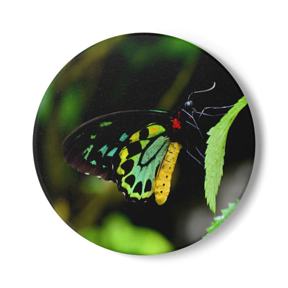 Nature-Inspired Colorful Butterfly Collectible Ceramic Coaster — Green Tailed Butterfly, 1 Pc