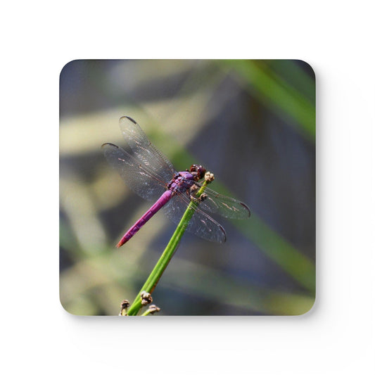 Nature-Inspired Dragonfly Cork Drink Coaster 4-Piece Set