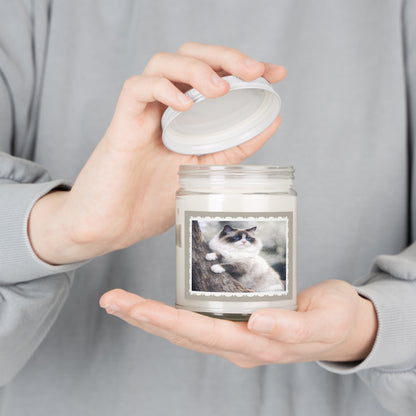 Ragdoll Cat Artist Inspired Soy Candle — 9 oz (7.5oz Wax) Scented Jar with White Lid (Assorted Scents)