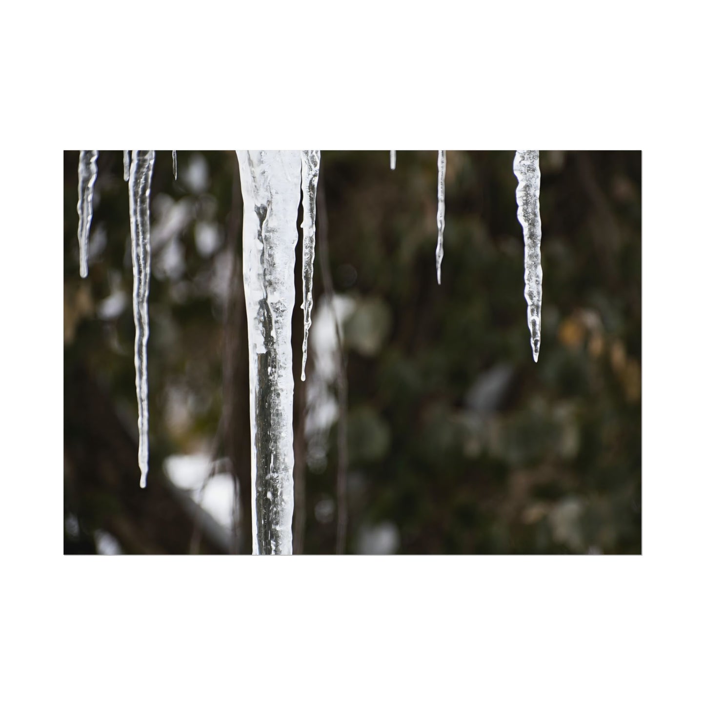 Winter Icicles Frozen Nature Wall Art Print