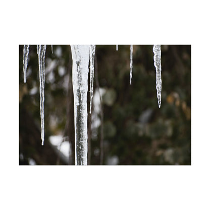 Winter Icicles Frozen Nature Wall Art Print