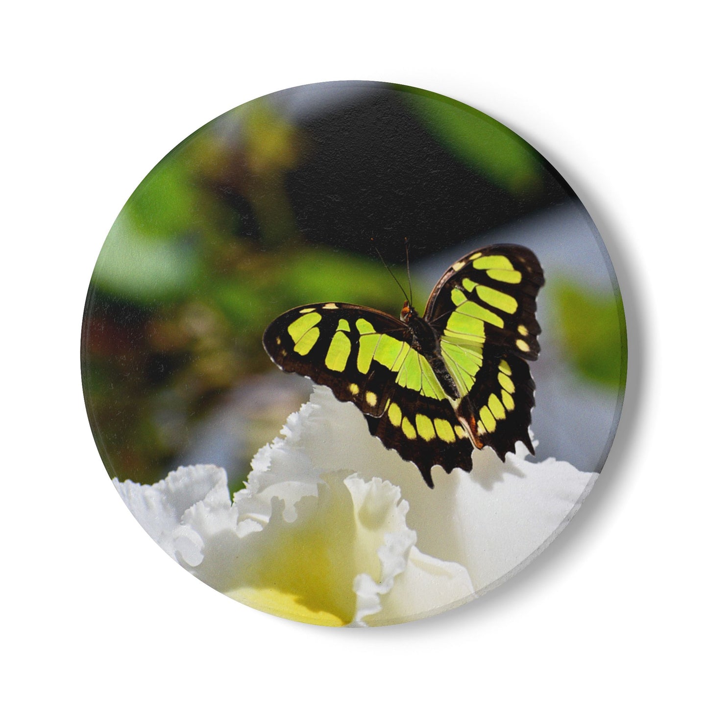 Nature-Inspired Yellow and Black Butterfly in Garden Collectible Ceramic Coaster, 1 Piece