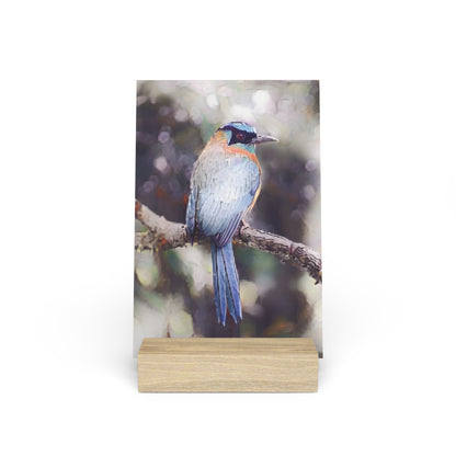 Artistic Tropical Bird Photo Gallery Board with Wooden Stand — Mini Nature Desk Art (Additional Sizes)