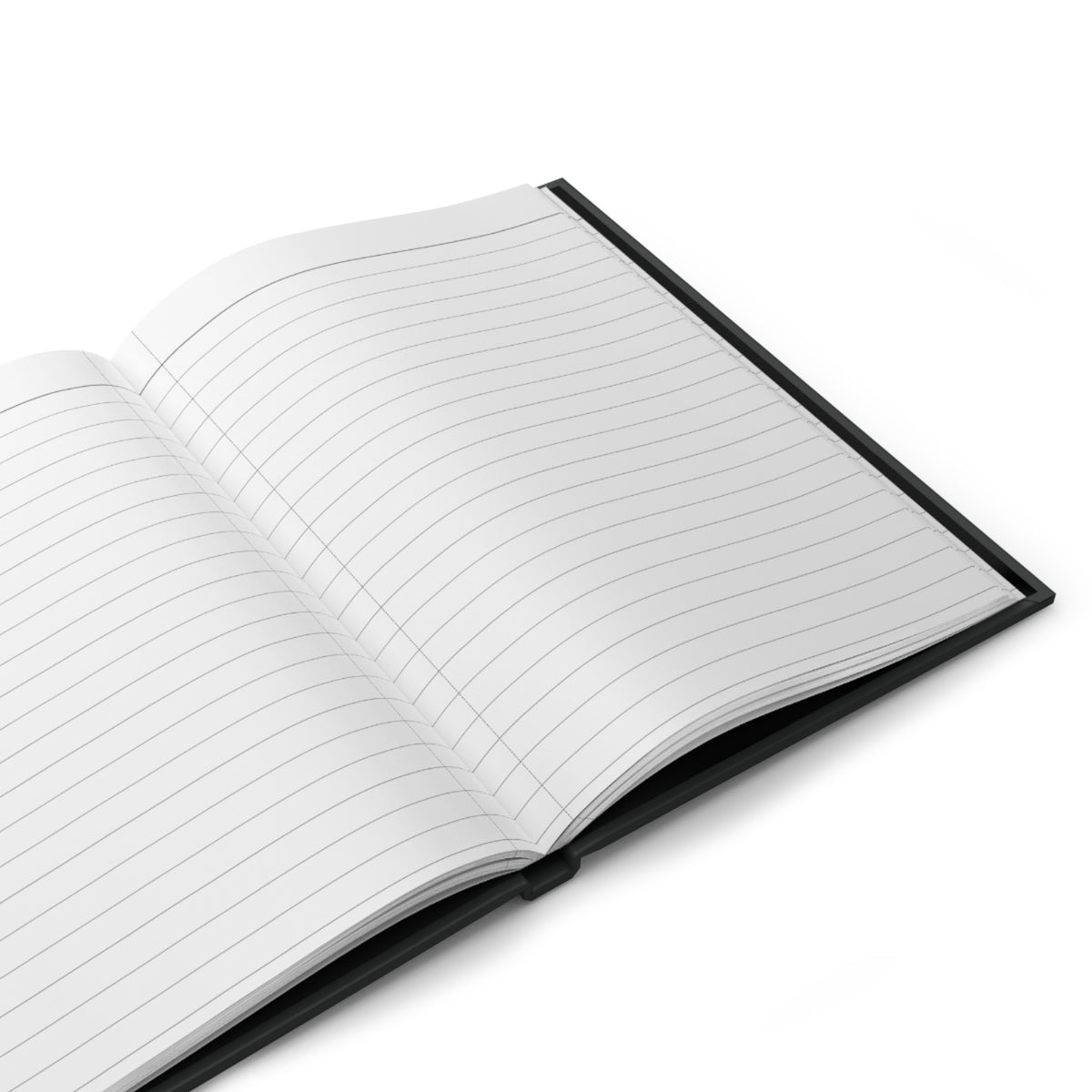 Wild Florida Field Notes Lined Hardcover Journal — Everglades Alligator Nature Notebook