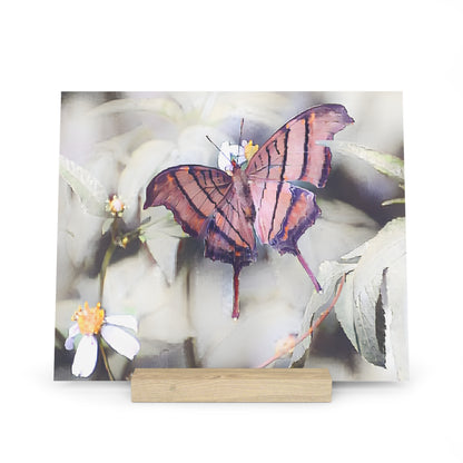 Orange Butterfly Photo Gallery Board with Wooden Stand — Mini Nature Desk Art (Additional Sizes)