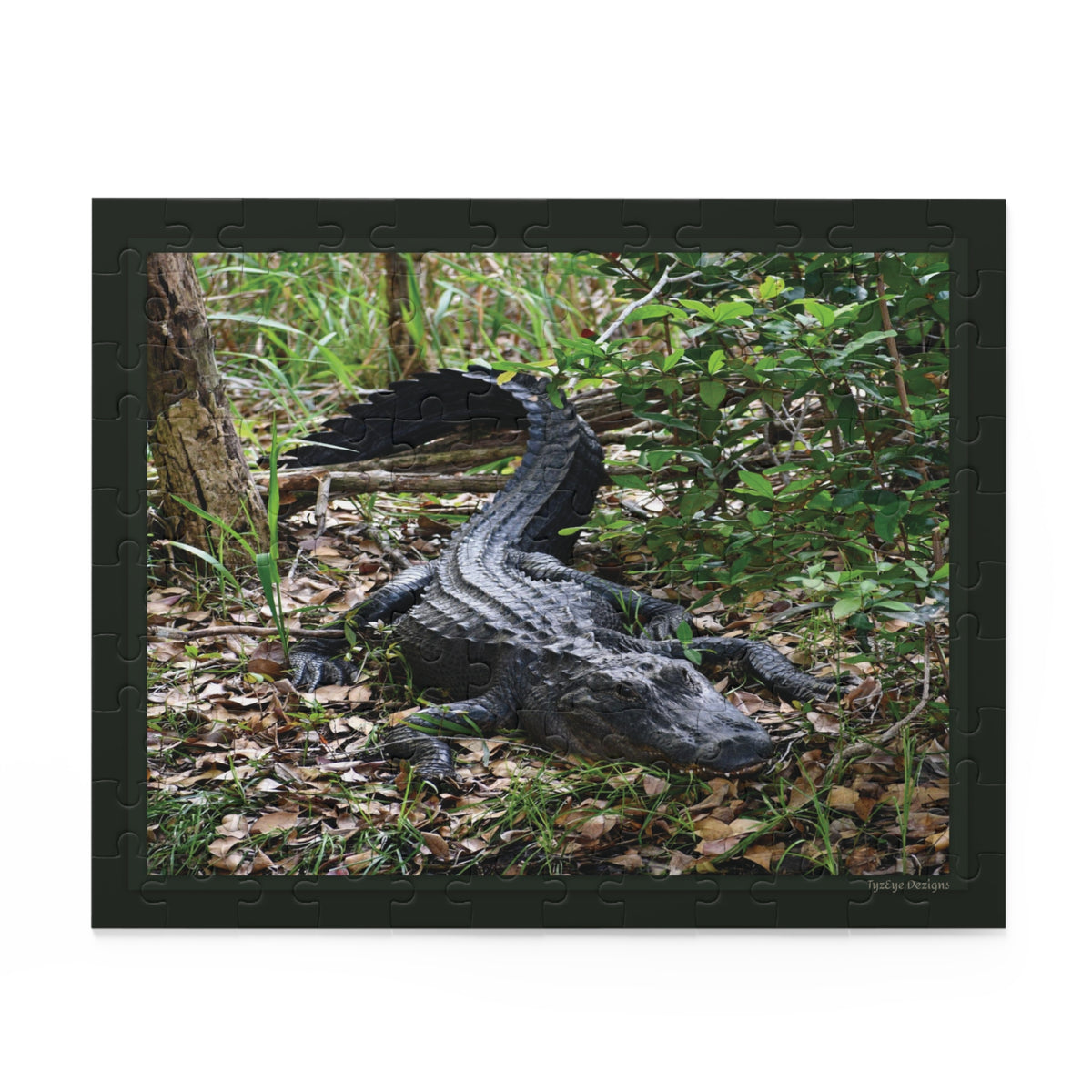 Wild Florida Alligator Nature Puzzle — Wildlife Photo Jigsaw (120/252/500 Piece)