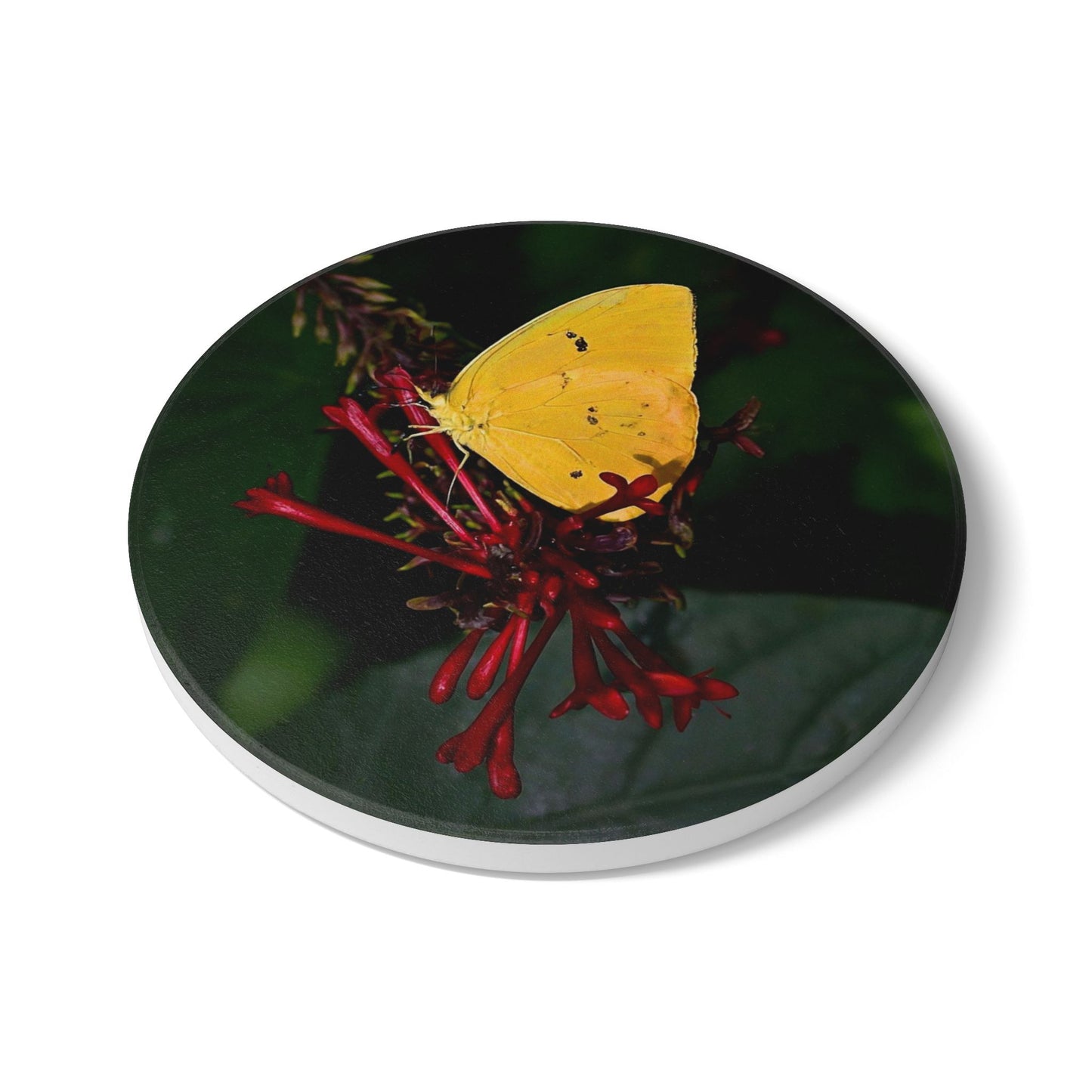 Nature-Inspired Yellow Butterfly Collectible Ceramic Drink Coaster, 1 Piece