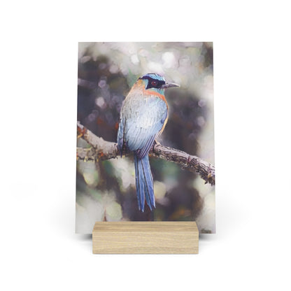 Artistic Tropical Bird Photo Gallery Board with Wooden Stand — Mini Nature Desk Art (Additional Sizes)