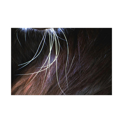 Cat Whiskers Wall Art Print