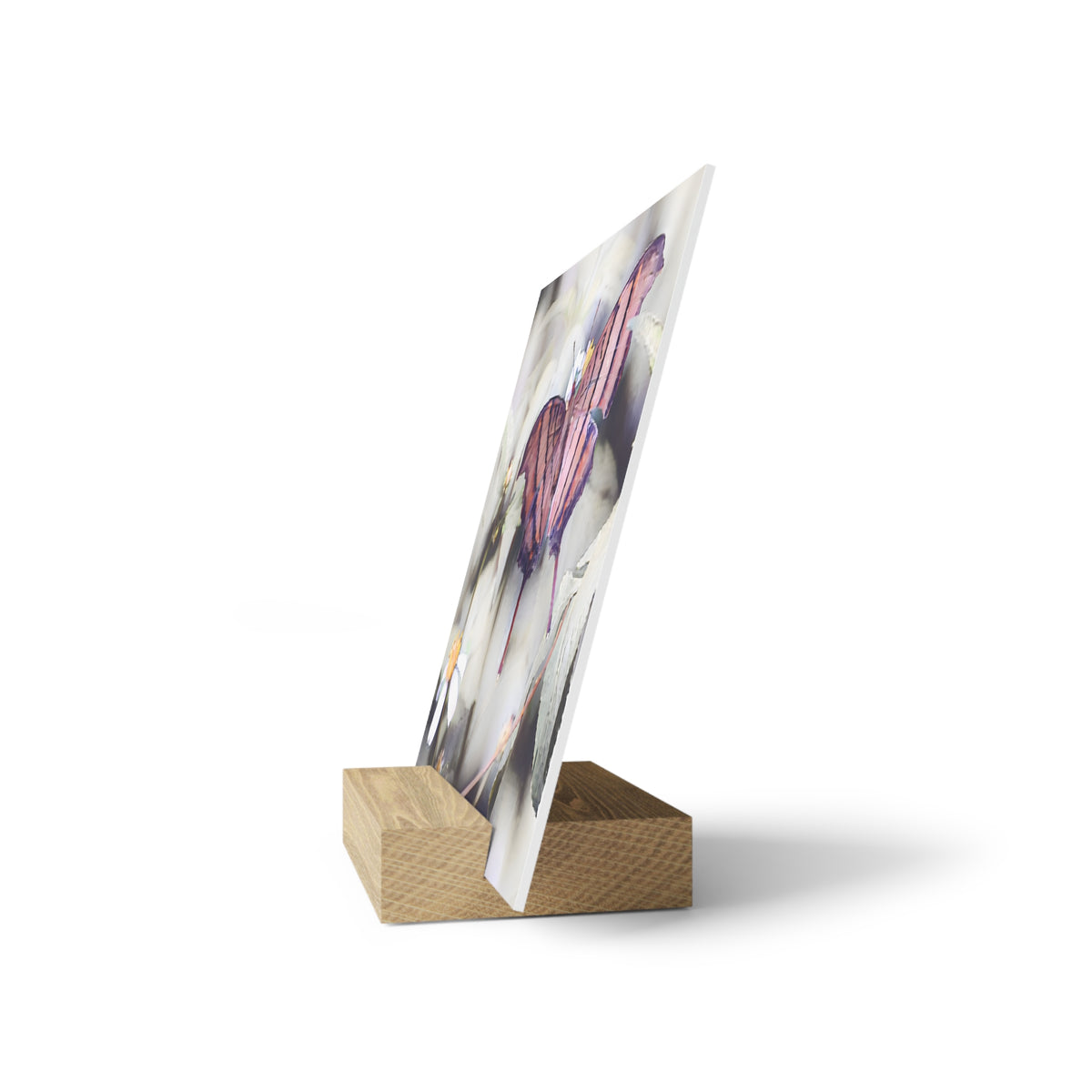Orange Butterfly Photo Gallery Board with Wooden Stand — Mini Nature Desk Art (Additional Sizes)