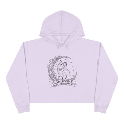 Cute Cat & Moon Crop Hoodie — “Always Pawsitive” Cozy Graphic Pullover (Additional Colors)