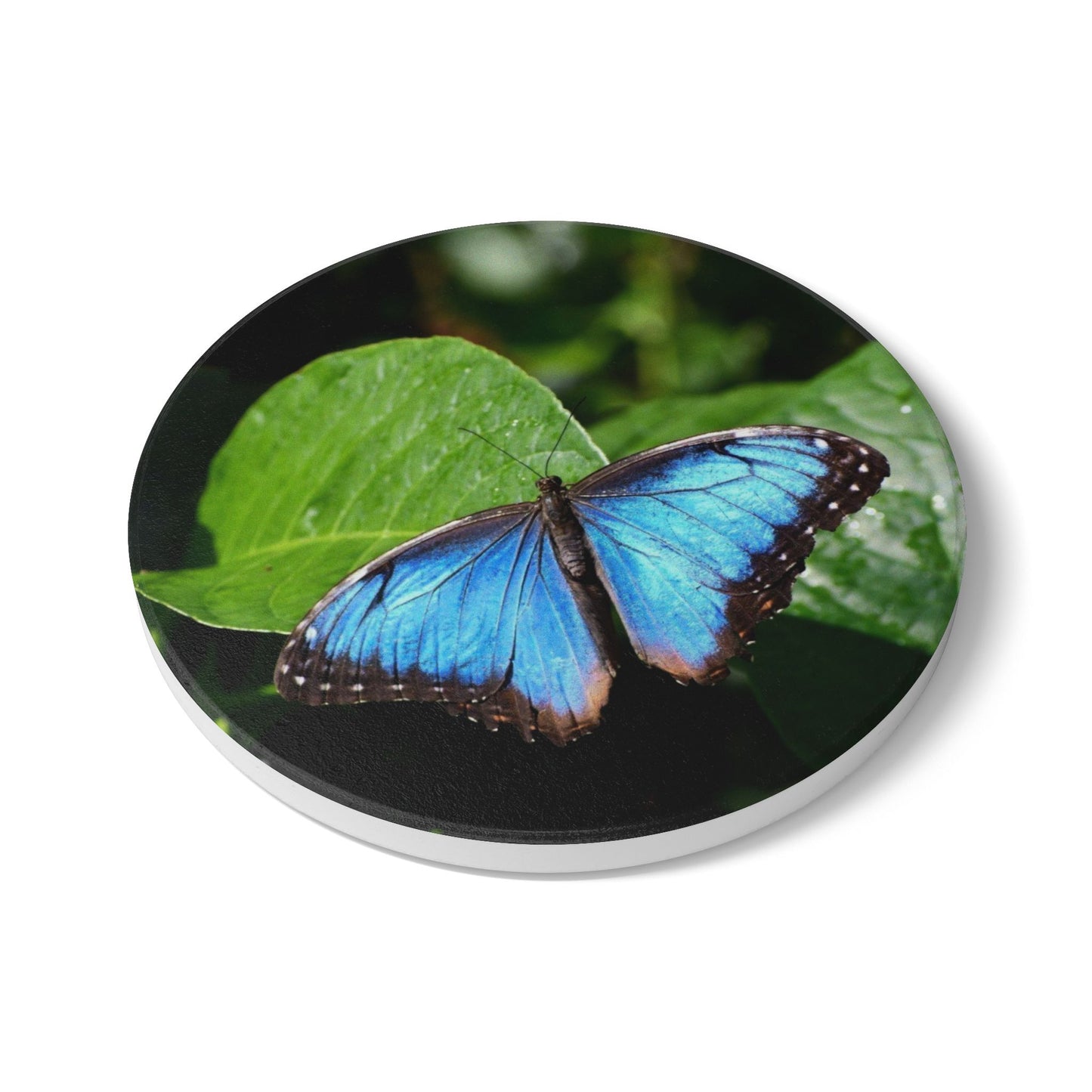 Nature-Inspired Beautiful Blue Butterfly Collectible Ceramic Coaster, 1 Piece