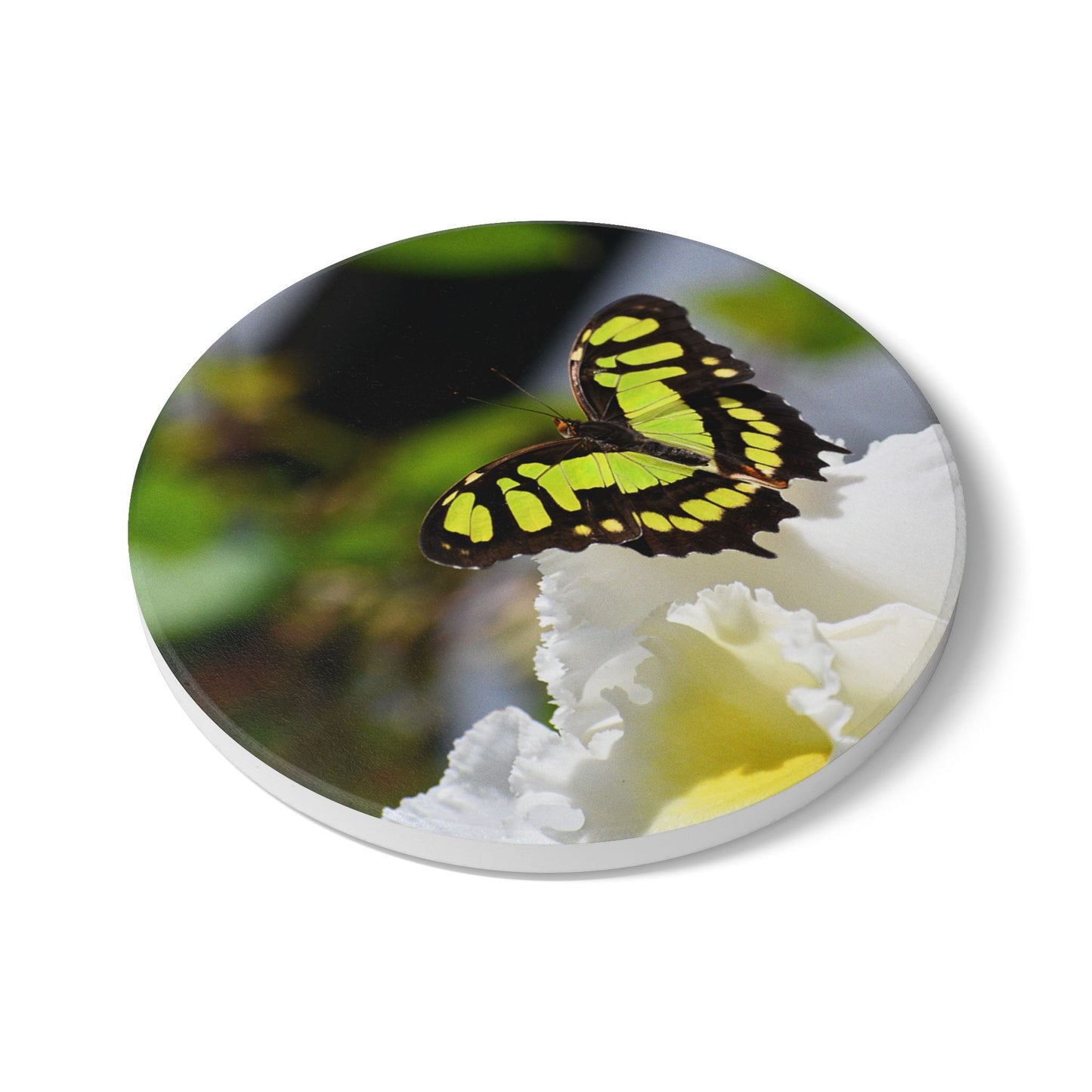 Nature-Inspired Yellow and Black Butterfly in Garden Collectible Ceramic Coaster, 1 Piece