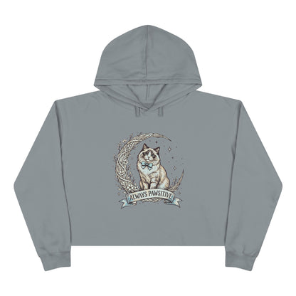 Cute Cat & Moon Crop Hoodie — “Always Pawsitive” Cozy Graphic Pullover (Additional Colors)