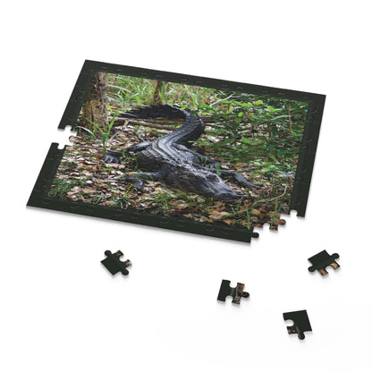 Wild Florida Alligator Nature Puzzle — Wildlife Photo Jigsaw (120/252/500 Piece)