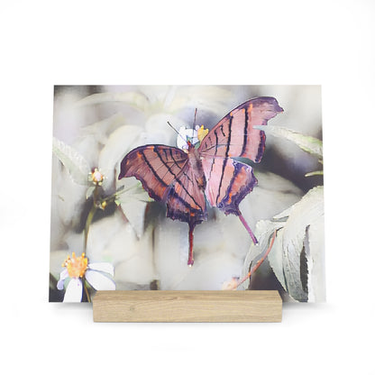 Orange Butterfly Photo Gallery Board with Wooden Stand — Mini Nature Desk Art (Additional Sizes)