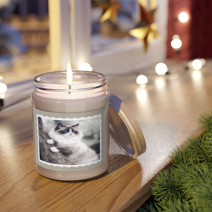 Ragdoll Cat Artist Inspired Soy Candle — 9 oz (7.5oz Wax) Scented Jar with White Lid (Assorted Scents)