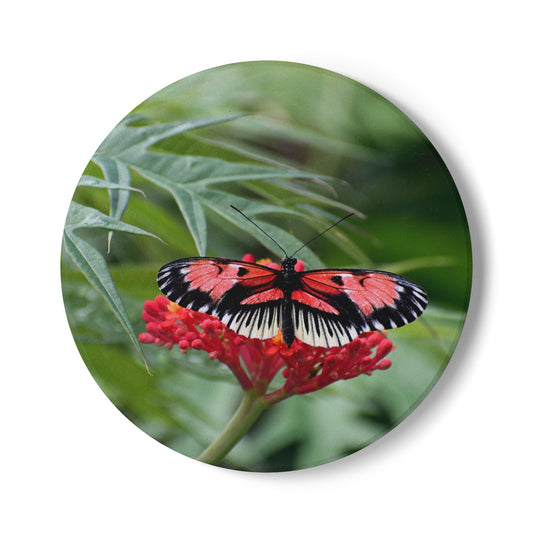Nature-Inspired Butterfly Blossom Collectible Ceramic Drink Coaster, 1 Piece