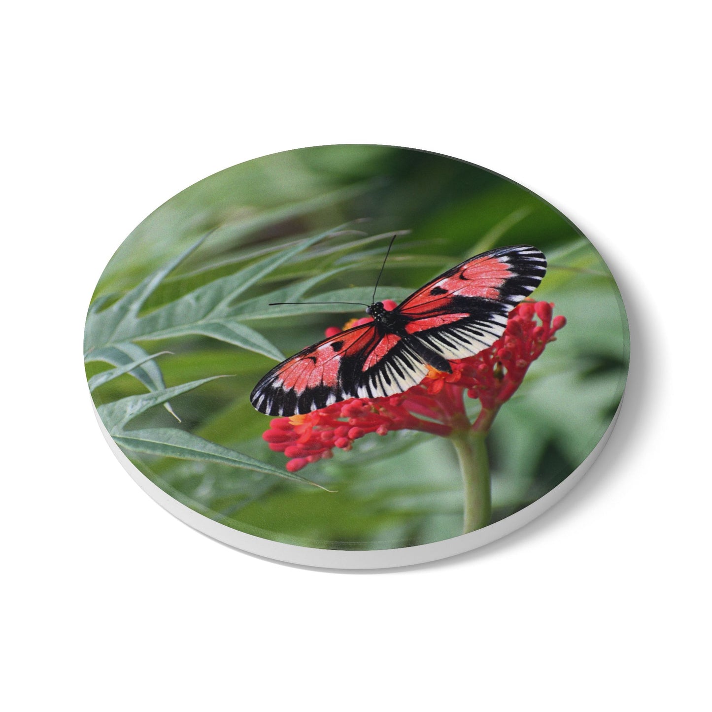 Nature-Inspired Butterfly Blossom Collectible Ceramic Drink Coaster, 1 Piece