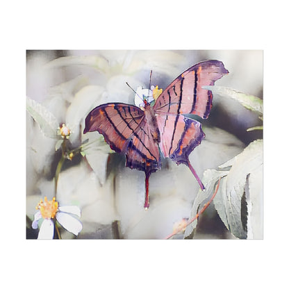 Nature-Inspired Orange Butterfly Wall Art Print