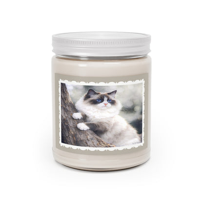 Ragdoll Cat Artist Inspired Soy Candle — 9 oz (7.5oz Wax) Scented Jar with White Lid (Assorted Scents)