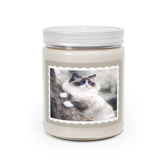 Ragdoll Cat Artist Inspired Soy Candle — 9 oz (7.5oz Wax) Scented Jar with White Lid (Assorted Scents)