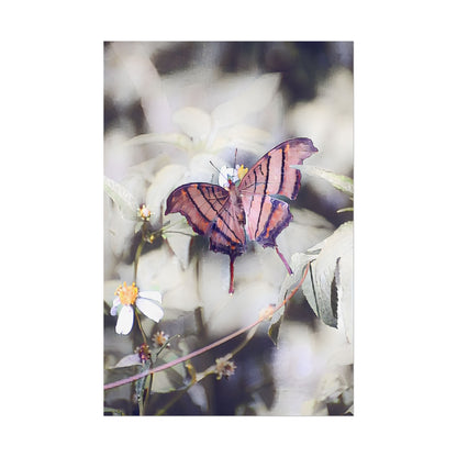 Nature-Inspired Orange Butterfly Wall Art Print