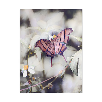 Nature-Inspired Orange Butterfly Wall Art Print