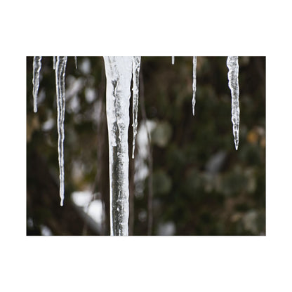 Winter Icicles Frozen Nature Wall Art Print
