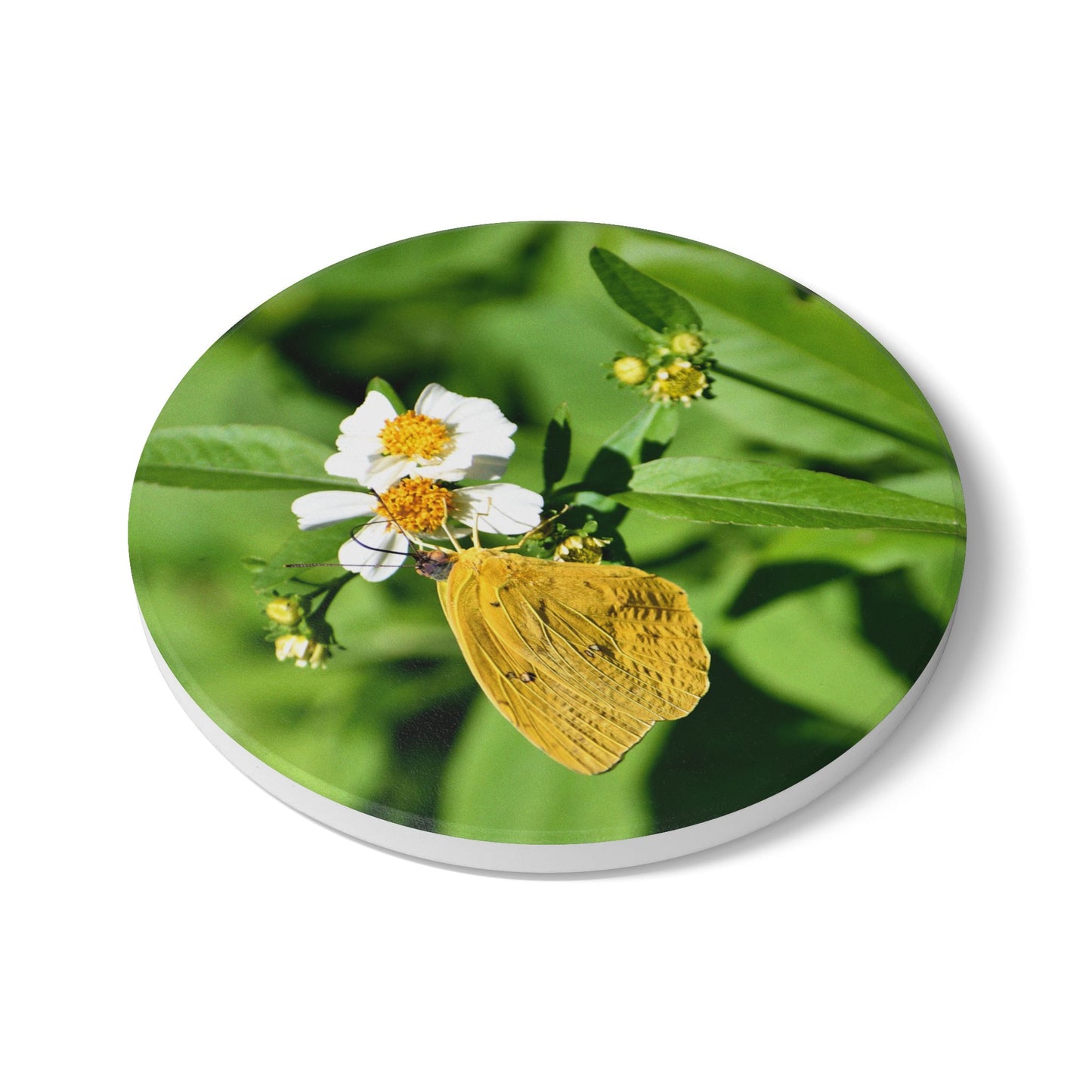 Nature-Inspired Yellow Butterfly & White Flowers Collectible Ceramic Coaster, 1 piece