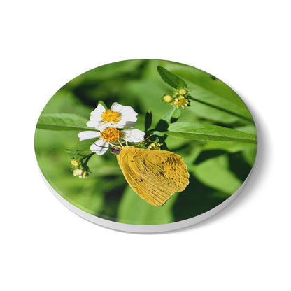 Nature-Inspired Yellow Butterfly & White Flowers Collectible Ceramic Coaster, 1 piece