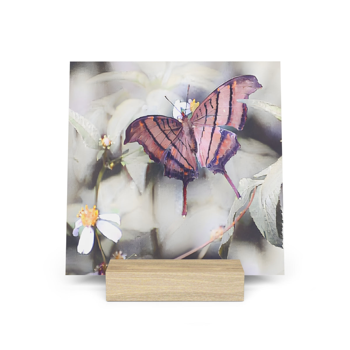 Orange Butterfly Photo Gallery Board with Wooden Stand — Mini Nature Desk Art (Additional Sizes)