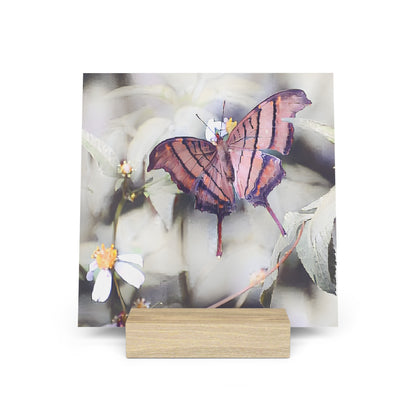 Orange Butterfly Photo Gallery Board with Wooden Stand — Mini Nature Desk Art (Additional Sizes)