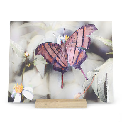Orange Butterfly Photo Gallery Board with Wooden Stand — Mini Nature Desk Art (Additional Sizes)