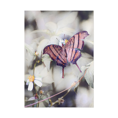 Nature-Inspired Orange Butterfly Wall Art Print