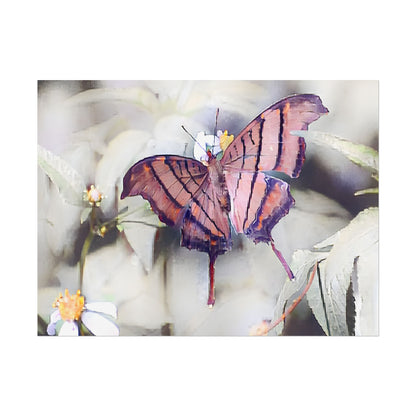 Nature-Inspired Orange Butterfly Wall Art Print