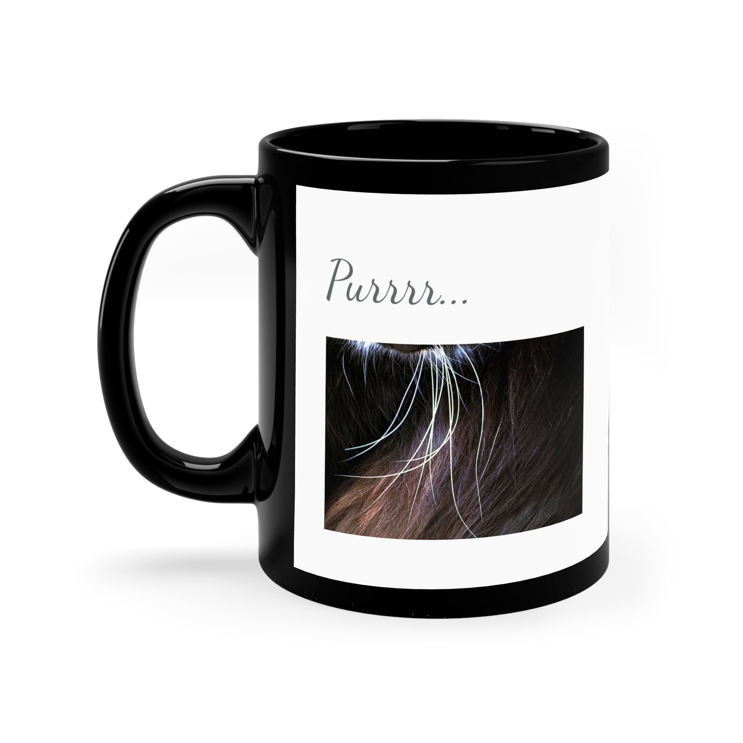 Cat Whiskers Purrrrfect Black & White Coffee Mug, 11oz