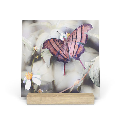 Orange Butterfly Photo Gallery Board with Wooden Stand — Mini Nature Desk Art (Additional Sizes)